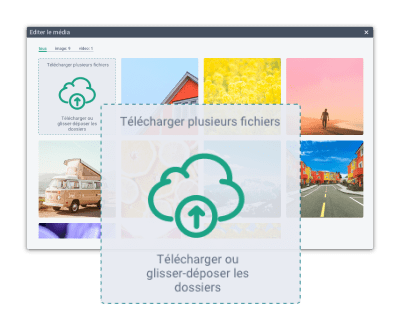 Massenbeitragsplanung